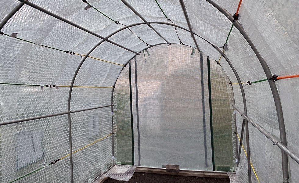 hothouse