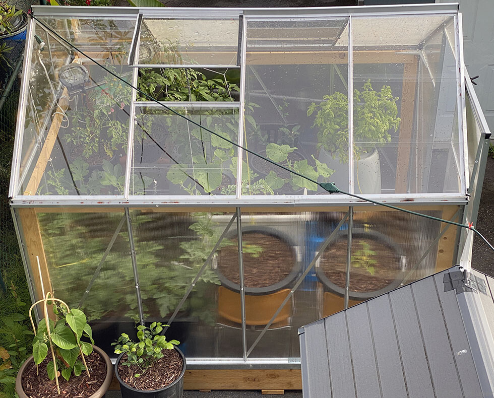 greenhouse