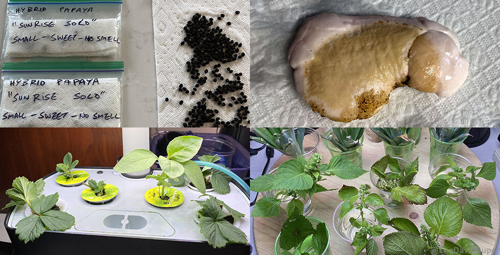 in_soil