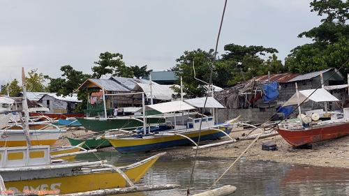 Cebu 04