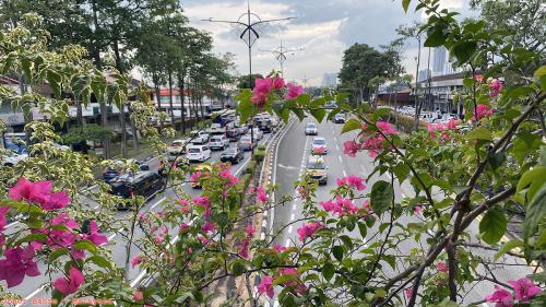 Johor Bahru 02