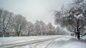 Snow 003