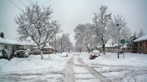 Snow 005