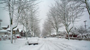 Snow 006