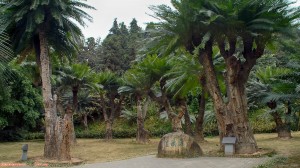 Travel 074 Guangzhou