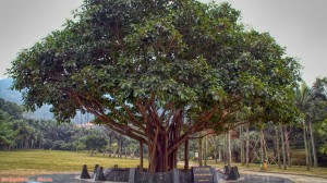 Travel 075 Guangzhou