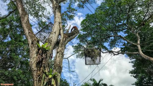 Travel 180 Singapore