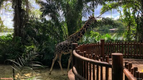 Travel 181 Singapore