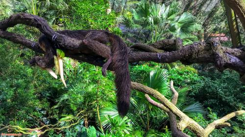 Travel 182 Singapore