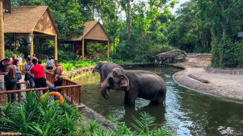 Travel 183 Singapore