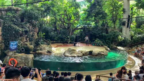 Travel 185 Singapore