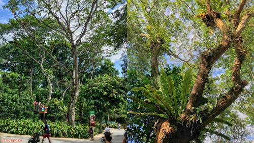 Travel 186 Singapore