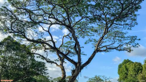 Travel 187 Singapore