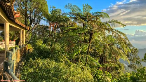 Travel 202 Genting Malaysia