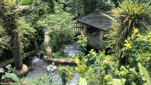 Travel 223 Kuala Lumpur Malaysia